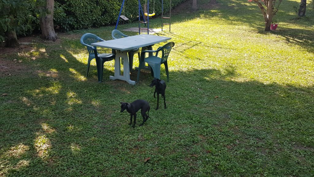 Du Val De Clavernau - Playmate dans sa nouvelle maison