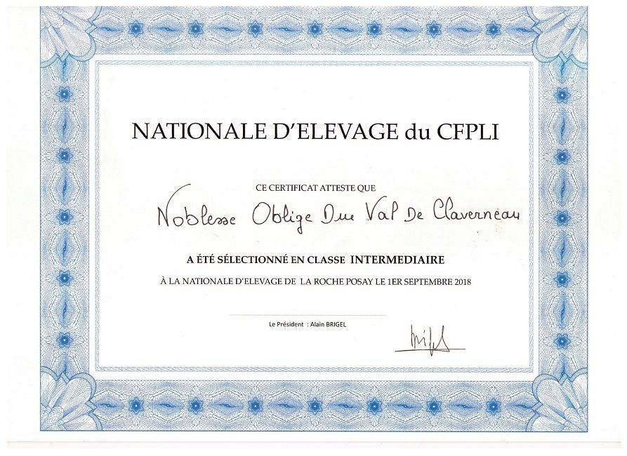 Du Val De Clavernau - Noblesse et la Nationale elevage 2018