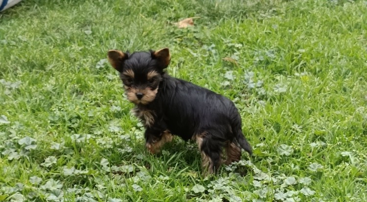 A RESERVER AS DE COEUR